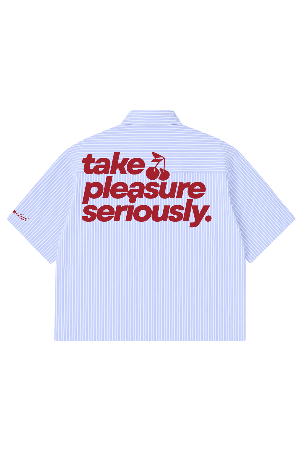 Take Pleasure Seriously Striped Boxy Shirt