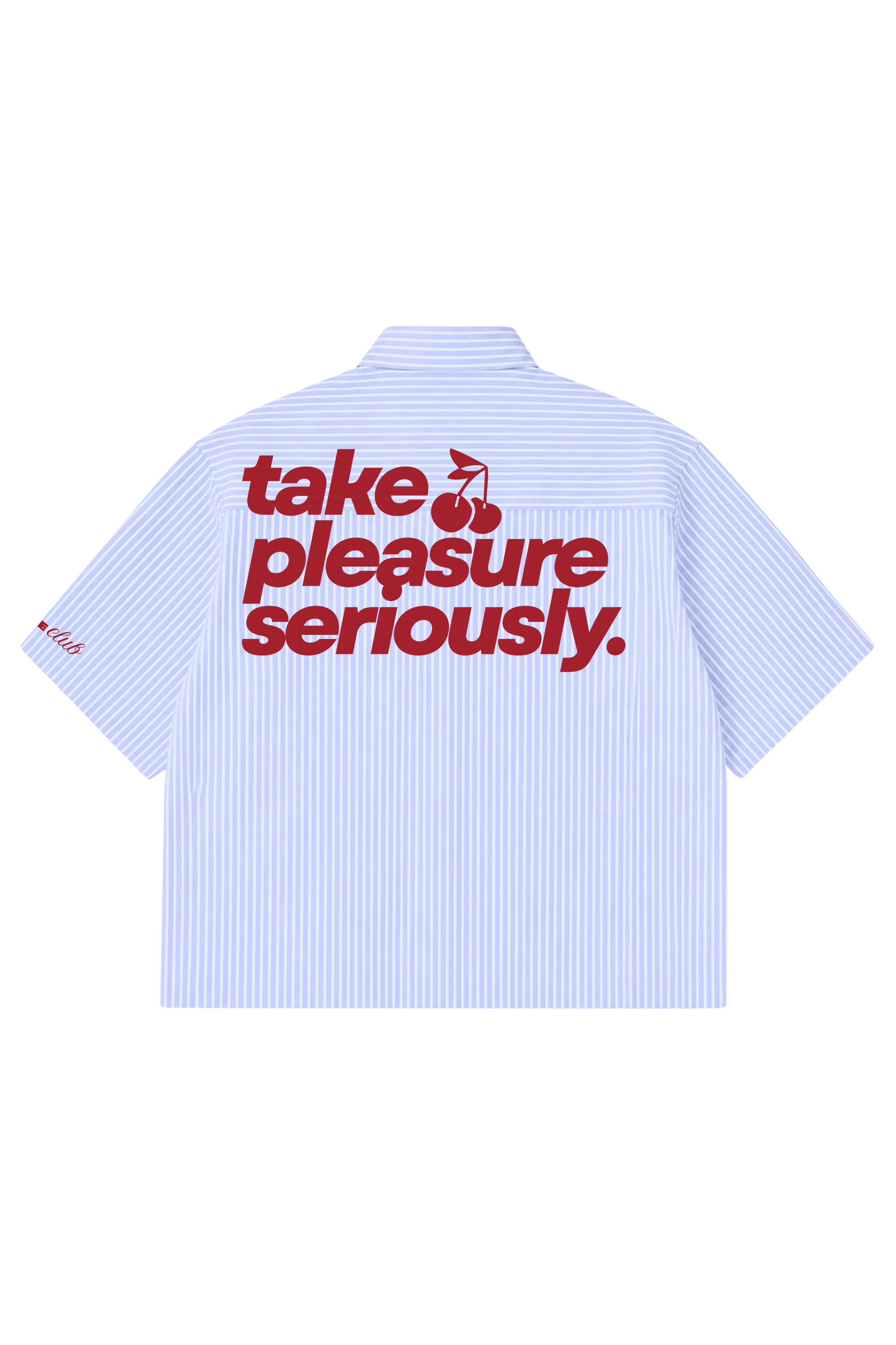 Take Pleasure Seriously Striped Boxy Shirt